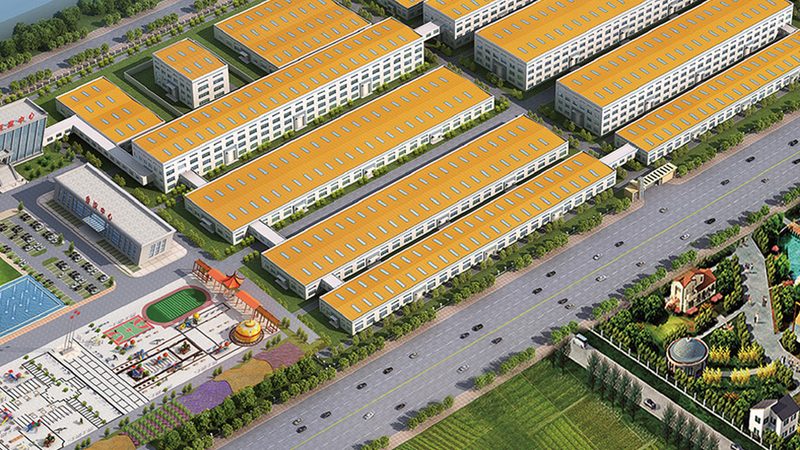 維生素D3魚肝油：上海市場行情解析